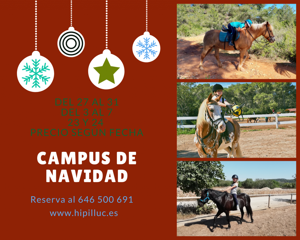 Campus de Navidad - Hipilluc